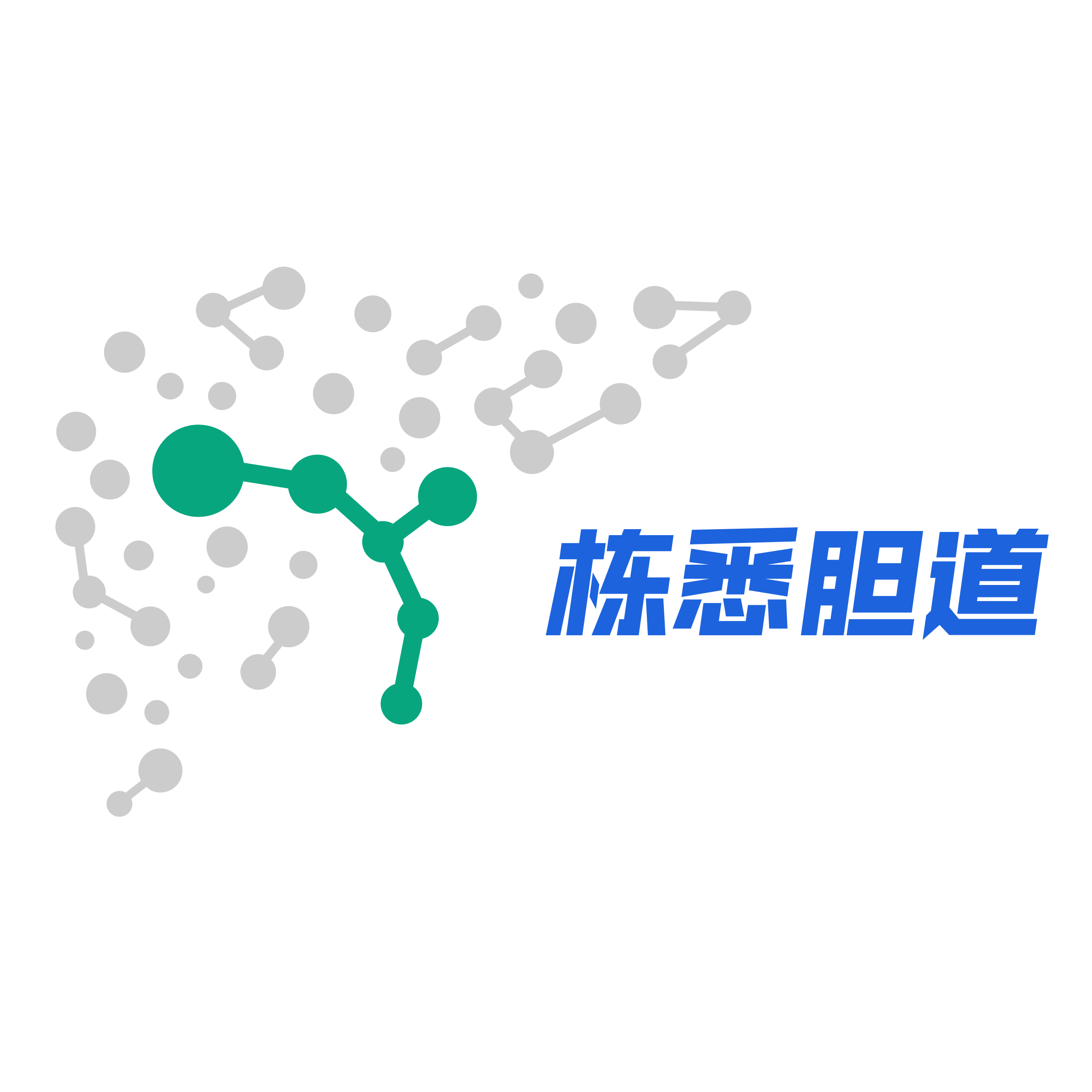 Biliary Insights logo